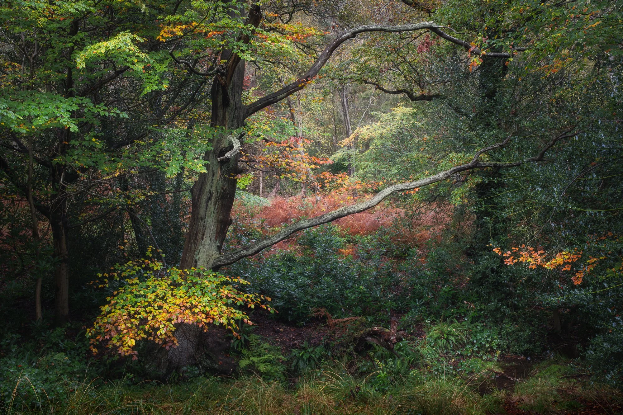 My Favourite Landscape Photos from 2023 | Trevor Sherwin Photography